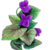:iconlady-viola: