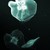 :iconlady-viscretus: