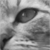 :iconlady-wampira: