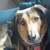 :iconlady-wild: