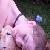 :iconladyamalthea8: