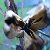 :iconladyark:
