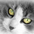 :iconladyarwin: