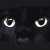 :iconladyasher: