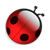 :iconladybird-a: