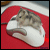 :iconladybird001: