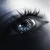 :iconladybird2: