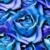 :iconladybluesteel: