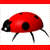 LadyBugClub :iconladybugclub: