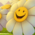 :iconladybugcrystal: