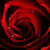 :iconladycousland: