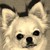 :iconladydaenah: