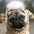 :iconladydeephotography: