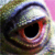 :iconladydiblu: