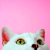 :iconladydilandau:
