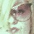 :iconladyfinger-s: