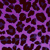 :iconladyflou: