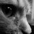 :iconladygladys: