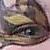:iconladykastet: