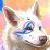 :iconladykoala: