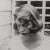 :iconLadyLazrus: