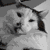 :iconladylinda: