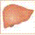 :iconladyliver: