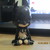 :iconladymagix: