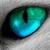 :iconladymarciel: