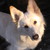 :iconladyprowl85: