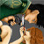 :iconladypserenity: