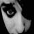 :iconLadyRocket10:
