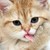 :iconladyruna: