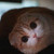 :iconladysaru: