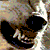:iconLadySilverbane: