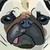:iconladysugar13: