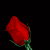:iconladythorne91: