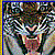 :iconladytygereyez: