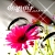 :iconLadyVienne: