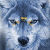 :iconladywolfheart: