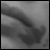 :iconlaelae: