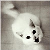 :iconLaFanny:
