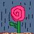 :iconlafloruccila: