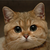 :iconlageon: