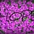 :iconlagleek715: