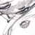 :iconlagrenouilleblanche: