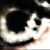 :iconlaguepefiere: