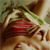 :iconlaguncula:
