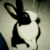 :iconlaideron: