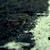 :iconlaifin: